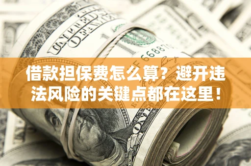 济南借款担保费怎么算？避开违法风险的关键点都在这里！