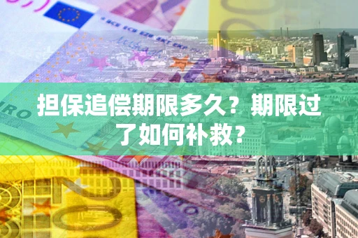 济南担保追偿期限多久？期限过了如何补救？