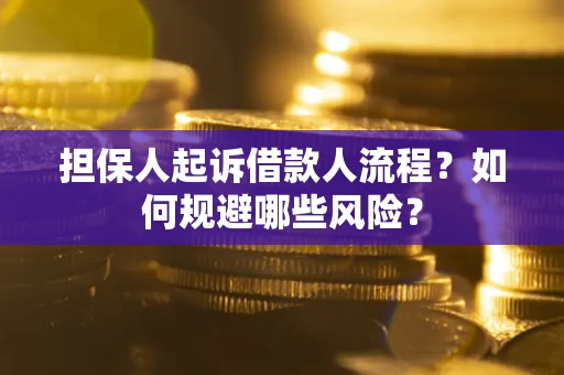 济南担保人起诉借款人流程？如何规避哪些风险？