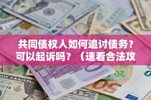 济南共同债权人如何追讨债务？可以起诉吗？（速看合法攻略）