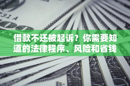 济南借款不还被起诉？你需要知道的法律程序、风险和省钱技巧